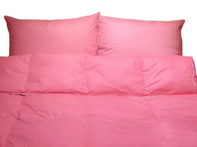 Immagine prodotto di Copripiumino in piuma 200x220 Pink Cheapest