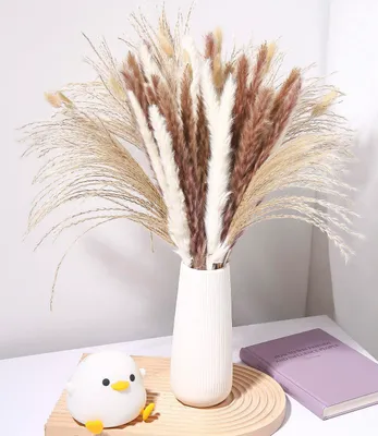 Produktbild von Bastelnaturmaterial Schilfheu-Deko, 100-teilig, für Zimmer, Wohnzimmer, Balkon, Hochzeit – natürliche Tischdeko & DIY