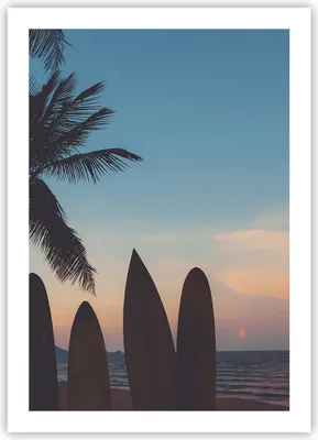 Produktbild von Poster - Poster ohne Rahmen - Strand Meer Palme - 50x70 cm - Wand Bild - Wanddeko - Wandbilder - Kunstposter - Wandposter - Bilder - Kunstdruck - Wanddekoration - Wandbild - P2XPA50x70-4080