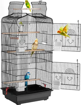 A black metal bird cage with several birds inside and on top.