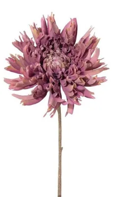 Produktbild von Künstliche Chrysantheme 56cm. Dekoblume Kunstblume. Altrosa