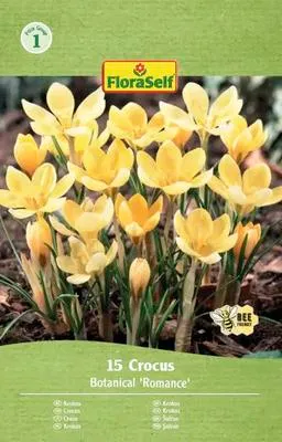 Obrázek produktu pro Krokusy FloraSelf 'Romance' 15 ks