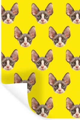Produktbild von MuchoWow® - Sticker - Dekorfolie