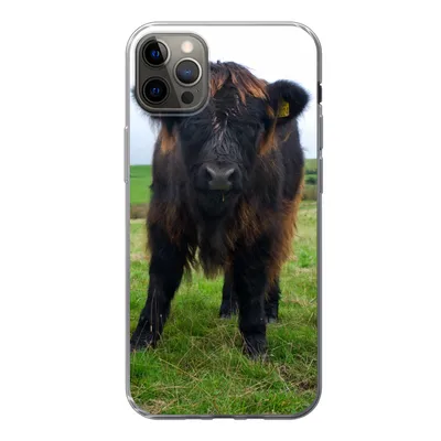 Produktbild von MuchoWow® Handyhülle Schutzhülle Hülle für iPhone 13 Pro Max Schottische Highlander - Kühe - Natur - Grün - Gras Silikon Softcase Handy Hülle - Mobiltelefon