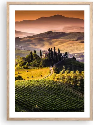 Produktbild von Gerahmtes Poster - Rahmen in heller Eiche - Landwirtschaft Bauernhof Toskana Weinberg - 50x70 cm - Wand Bild - Wanddeko - Wandbilder - Wandposter - Bilderrahmen - Bilder - Kunstdruck - P2NPA50x70-2465