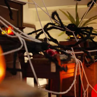 Produktbild von Möbel Halloween-Spinnendekoration mit Netzen 2 Stk. Schwarz und Weiß - Weihnachtsgirlanden &48698