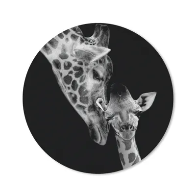 Produktbild von MuchoWow® Mauspad Mousepad Porträt - Giraffe - Tiere - Schwarz - Weiß 30x30 cm - Mousepads - Maus Mat - Pad - Mausunterlage - Tischunterlage - Schreibtischmatten