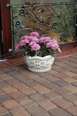 Produktbild von Blumentöpfe Kasten Topf Blumen Töpfe XXL Beton Garten Terrasse Skulptur  S204001