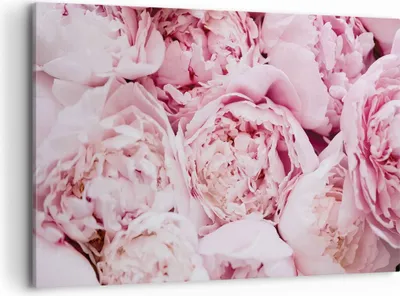 Produktbild von Bild auf Leinwand - Leinwandbild - Einteilig - Blumenstrauß Blumen Rosa - 120x80cm - Wand Bild - Wanddeko - Wandbilder - Leinwanddruck - Bilder - Wanddekoration - Leinwand bilder - AA120x80-5001