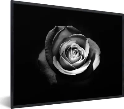 Produktbild von MuchoWow® Gerahmtes Poster Blumen - Schwarz - Rose - Weiß - Botanisch 80x60 cm - Poster mit Schwarzem Bilderrahmen Wandposter Rahmen Foto Bilder - Schwarzem - Mit Gestell