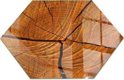 Obrázok produktu pre Sklenený podlahový panel pre H 40 cm - Krbový panel sklo - Krbový panel sklo - Ochranné sklo - Ochranný panel proti iskreniu - Sklenený podlahový panel ohňovzdorný - Ochranný panel proti teplu - Sklenená ochrana podlahy - Drevená štruktúra v priereze