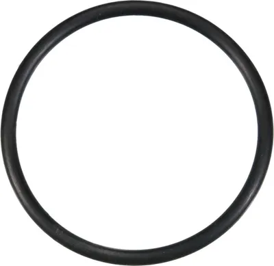 Produktbild von O-Ring Wasserpumpe klein 3,53 x 44,04 17289680