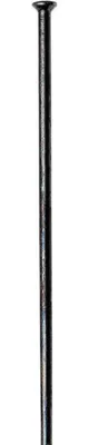 Produktbild von DT Swiss Speiche Competition Race 2.0 / 1.6 / 2.0 Straightpull 280 mm schwarz....