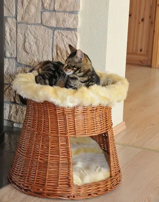 Produktbild von Silvio Design Korbturm mit Cataria