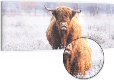 Produktbild von DEQORI Hybrid Leinwand Bild 125x50 cm 'Frostiger Hochlandblick' Wandbild Glas flach modern