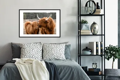 Produktbild von MuchoWow® MuchoWow® Gerahmtes Poster Schottisches Hochlandrind - Tiere - Wald 90x60 cm - Poster mit zchwarzem Bilderrahmen - Wanddekoration - Fotos