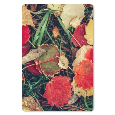 Produktbild von MuchoWow® Mauspad Mousepad Blätter - November - Herbst - Natur 18x27 cm - Mousepads - Maus Mat - Pad - Mausunterlage