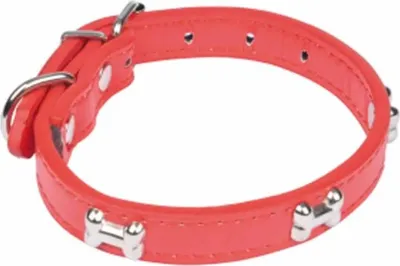 Image de Collier pour chien rouge 35 cm M