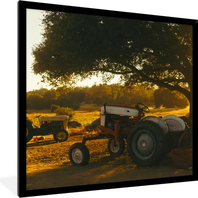 Produktbild von MuchoWow® Gerahmtes Poster Traktor - Sonne - Baum - Landschaft 40x40 cm - Poster mit Schwarzem Bilderrahmen Wandposter Rahmen Foto Bilder - Mit Rahmen - Wanddekoration Schlafzimmer