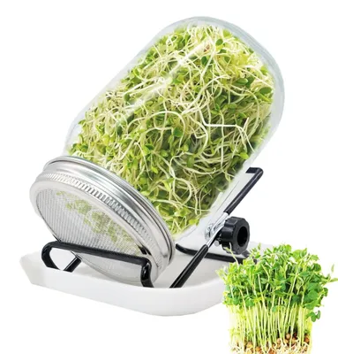 Productafbeelding van Spruitglas Set voor Gezonde Groenten en Kiemen