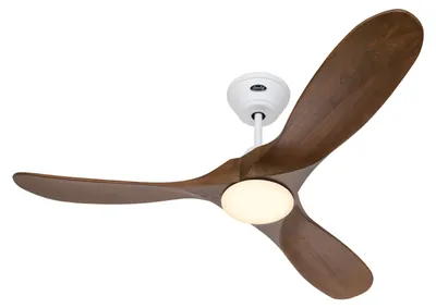 Immagine prodotto di ECO GENUINO L 122, Ventilatore con Luce, CasaFan