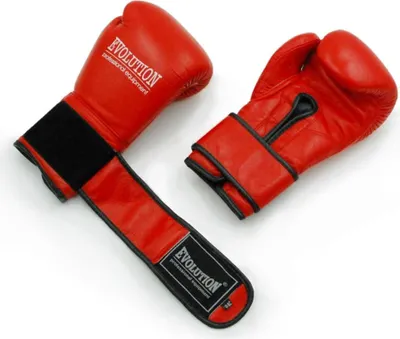 Obrázek produktu pro ND05_R2862-14 Boxerské rukavice Evolution profe