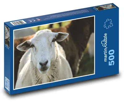 Obrázok produktu pre Puzzle 500 Ovce na zelenej lúke - martinpuzzle