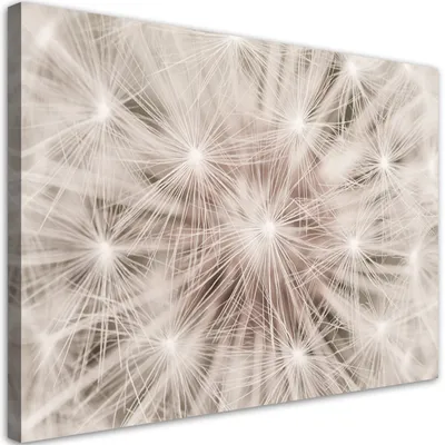 Produktbild von Leinwandbild Löwenzahnblüten Natur Makro 100x70 Feeby Beige bild für die wand bereit zum aufhängen