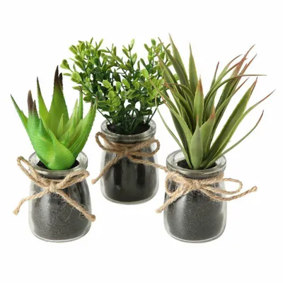 Zdjęcie produktu dla Boltze Home Sukulent w doniczce Ø10x17cm Sztuczna roślina