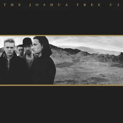 Immagine prodotto di U2-L'albero del Giosuè (2LP)