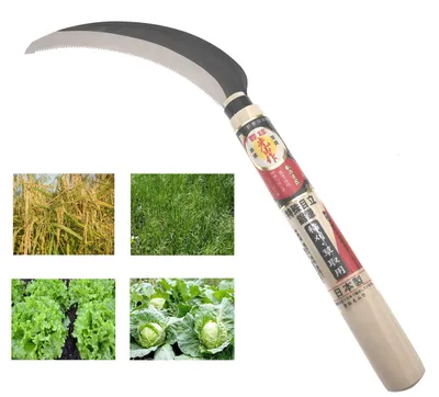 Produktbild von Zahnräder mit gebogenem Blatt
