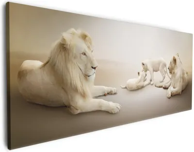 Produktbild von Wallario Premium Leinwandbild Löwenfamilie mit Jungtieren in Größe 50 x 125 cm