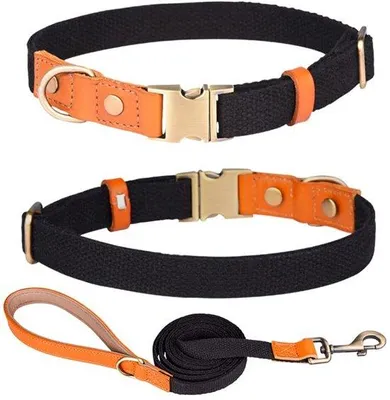 Productafbeelding van Halsbanden voor honden - Nylon - Leer - Veiligheidsriem - Lichtgewicht - Ademend materiaal - Hondenhalsband
