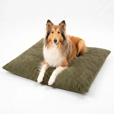 Produktbild von 4L Textil MOLLY Hundekissen aus Cord, wendbares Hundebett, abnehmbarer waschbarer Bezug, für mittelgroße Hunde, 100x80 cm, Olivgrün