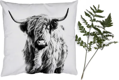 Produktbild von MuchoWow® Zierkissen Sofakissen Wohnzimmer Dekokissen 40x40 cm Schwarz und Weiß - Schottisches Hochlandrind - Tiere - Foto Kissen - Schlafzimmer Dekoration