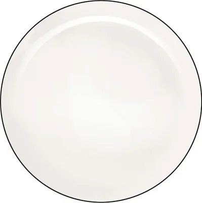 Obrázek produktu pro ASA Selection ligne noire Piatto, ligne noire bílá lesklá
