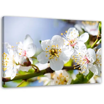 Produktbild von Leinwandbild blühender zweig 90x60 cm Feeby blau wandbild bereit zum aufhängen