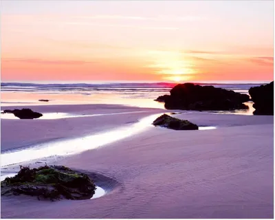 Produktbild von Wallario Poster - Sonnenuntergang am einsamen Strand, Kunstdruck Größe: 40 x 50 cm