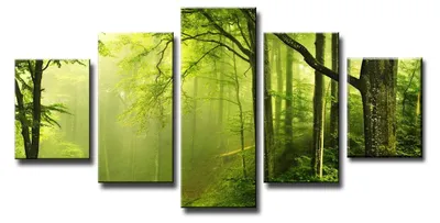 Immagine prodotto di 160 x 80 cm, stampe su tela raffiguranti un paesaggio boschivo