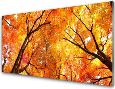 Produktbild von Acrylglasbilder 100x50 Wandbild Druck Bäume Natur