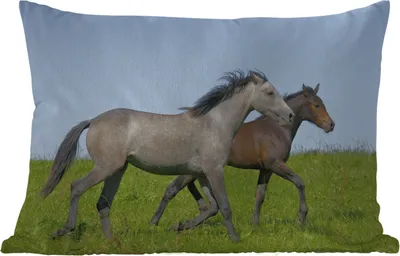 Produktbild von MuchoWow® Outdoor Kissen - Pferde - Tiere - Gras - 60x40 cm - Wetterfest - Lounge Kissen - Zierkissen - Kissen für Innenräume