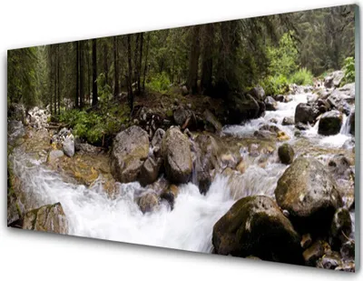 Immagine prodotto di Stampe su vetro acrilico 100x50: quadro decorativo, stampa con soggetto bosco, ruscello, pietre, natura