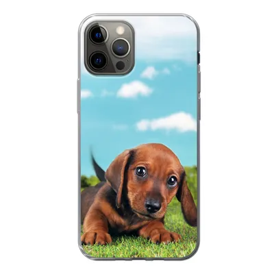 Produktbild von MuchoWow® Handyhülle Schutzhülle Hülle für iPhone 13 Pro Schöner Himmel über einem niedlichen Dackelwelpen Silikon Softcase Handy Hülle - Handy-Tasche