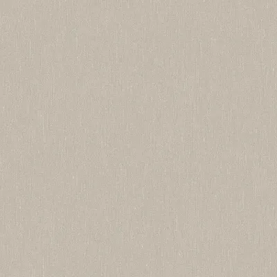 Obrázek produktu pro Borastapeter Tapeta hladká šedá - 660448 - 53 cm x 10,05 m