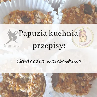 Zdjęcie produktu dla PAPUZIA Kuchnia ParrotPlanet- CIASTECZKA MARCHEWKOWE - Autorski Przepis Adzioszki z Parrot Disaster