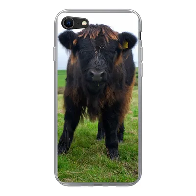 Produktbild von MuchoWow® Handyhülle Schutzhülle Hülle für iPhone 8 Schottische Highlander - Kühe - Natur - Grün - Gras Silikon Softcase Handy Hülle - Schutzhaube
