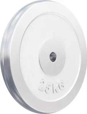 Produktbild von GORILLA SPORTS® Hantelscheiben - 25 kg Gewichte, 30/31mm Bohrung, aus Chrom - Gewichtsscheiben