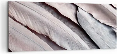Produktbild von Bild auf Leinwand - Leinwandbild - Einteilig - Federn Flügel Feder - 120x50cm - Wand Bild - Wanddeko - Wandbilder - Leinwanddruck - Bilder - Wanddekoration - Leinwand bilder - Wandbild - AB120x50-5114