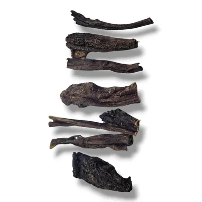 Several dried animal esophagus pieces arranged vertically against a white background.
