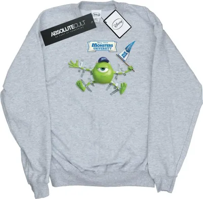Produktbild von Disney - "Monsters University" Sweatshirt für Herren BI48973 (4XL) (Grau)